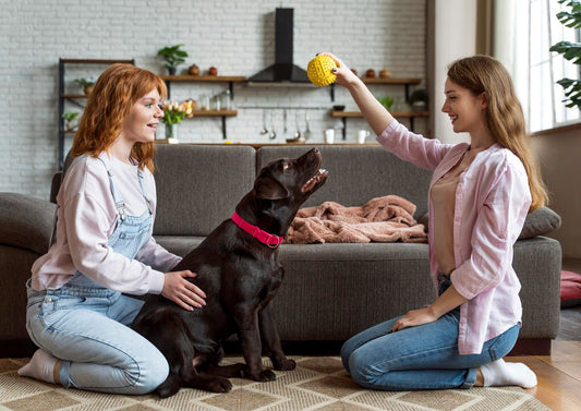 How to Help Dogs and Cats Live Together Peacefully