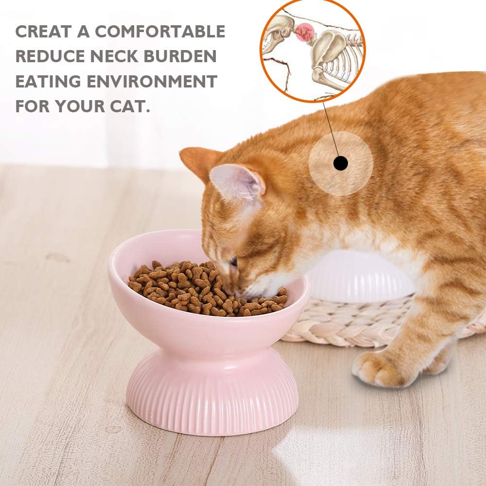 Ceramic Raised Cat Food Bowl - Tilted Cat Dish anti Vomiting - Small Elevated Feeding Bowl - Microwave and Dishwasher Safe - 4 Oz