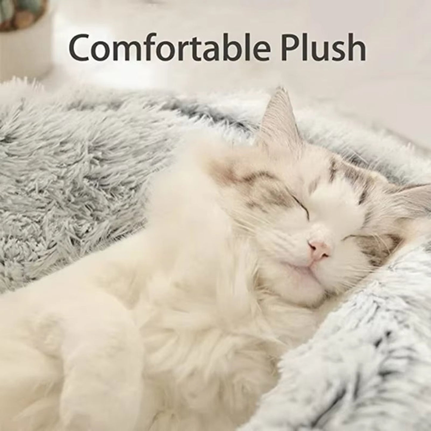 Winter Plush Round Cat Bed and 2-in-1 Warm Pet Sleep Bag for Small Dogs and Cats