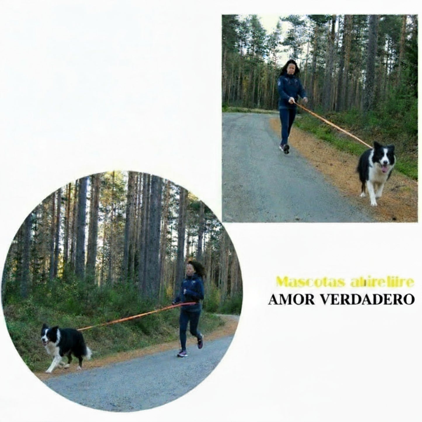 correa elastica para perros, para correr,trotar y caminar
